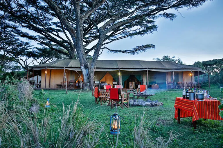 Lemala Ngorongoro