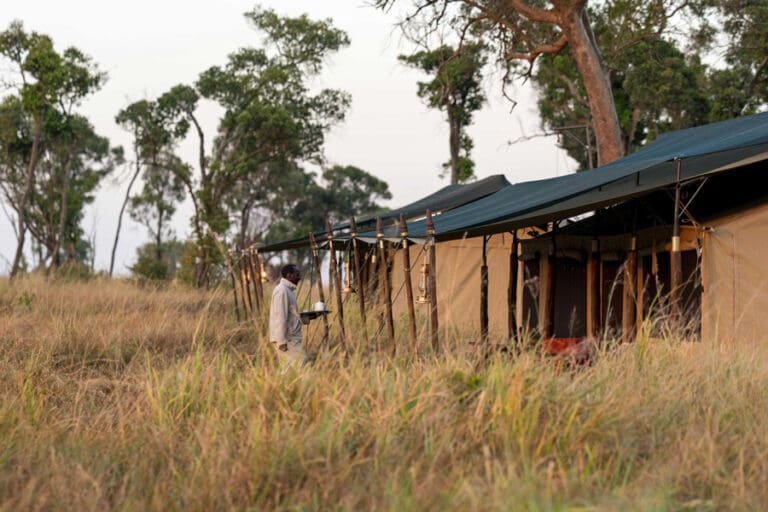 Lemala Mara Tent 3