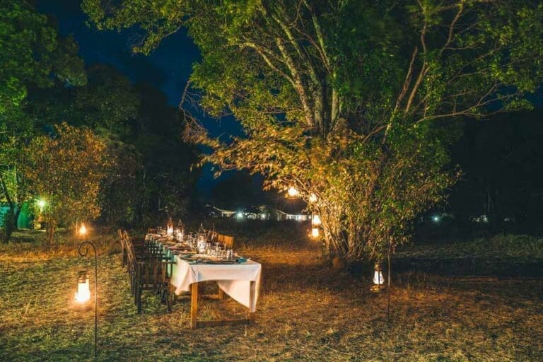 Lemala Mara bush dinner