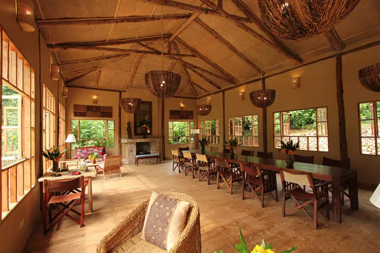 Bwindi lodge img 27293