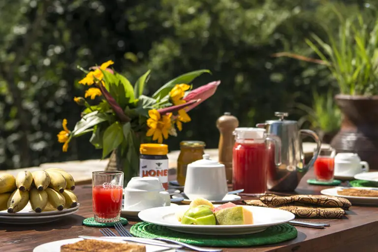 Bwindi lodge dining