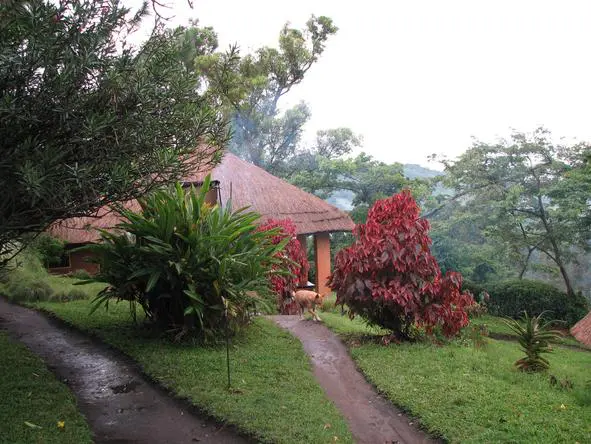 Ndali Lodge surroundings