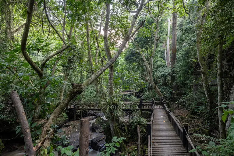 Kyambura Gorge Lodge 4