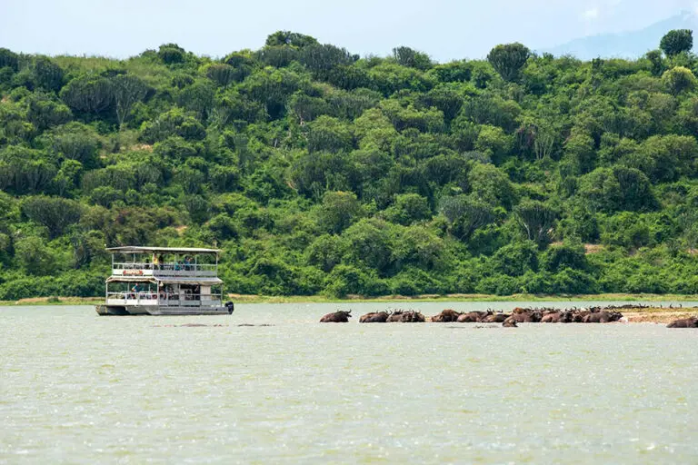 Kyambura Gorge Lodge Kazinga Channel Boat Cruise