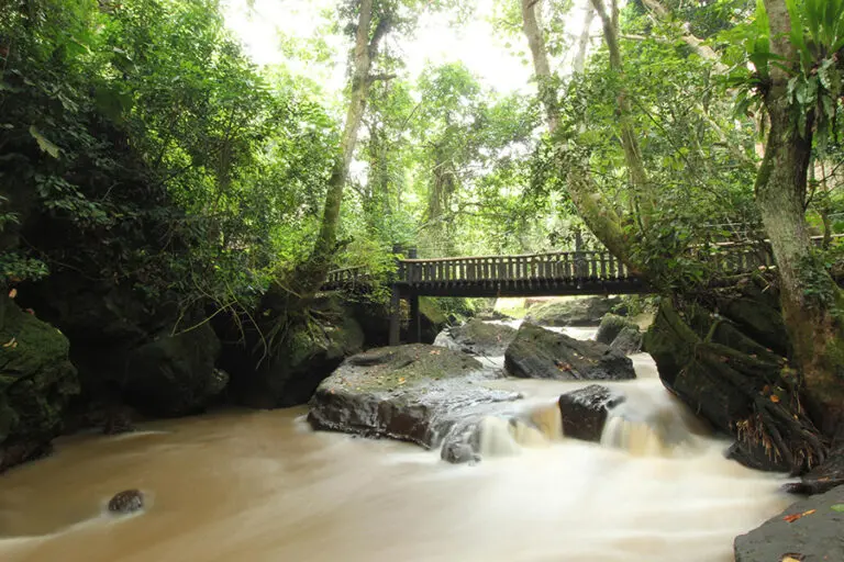 Kyambura Gorge Lodge 9