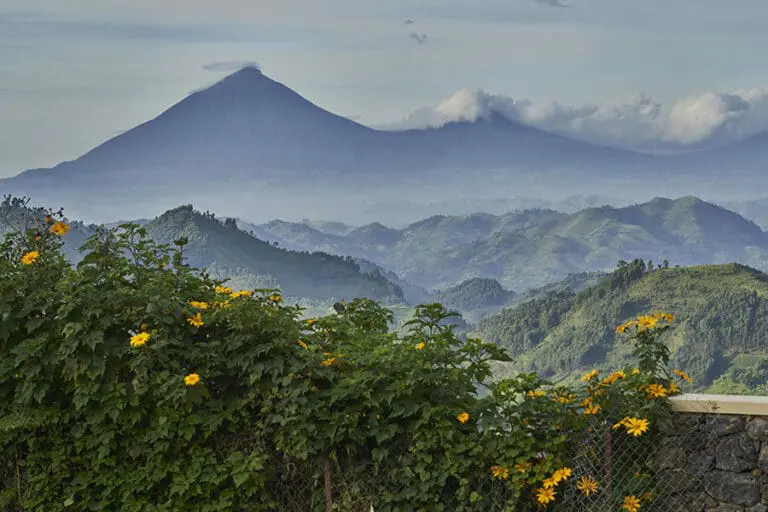 Nkuringo Bwindi Gorilla Lodge views