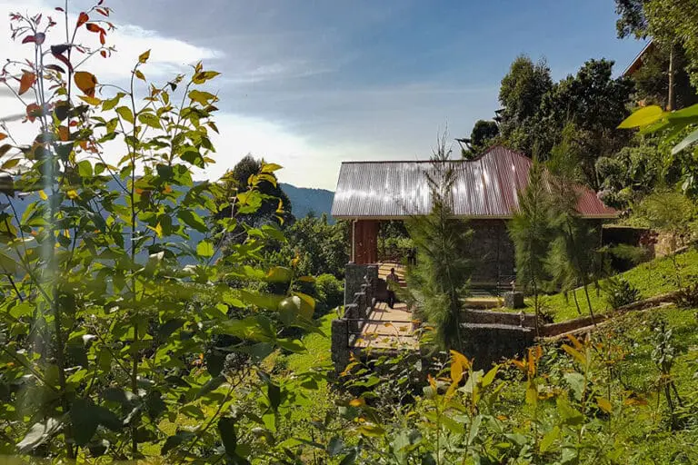 Nkuringo Bwindi Gorilla Lodge Cottage