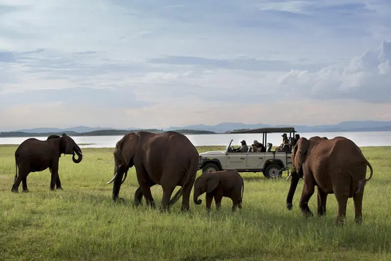 Bumi Hills Safari Lodge 4