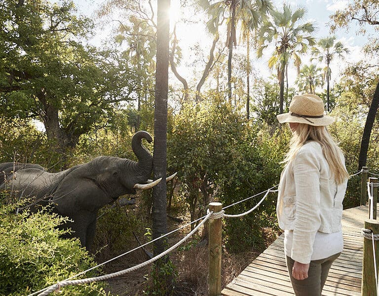 Victoria Falls River Lodge Island Treehouse Suites ellies visiting the island