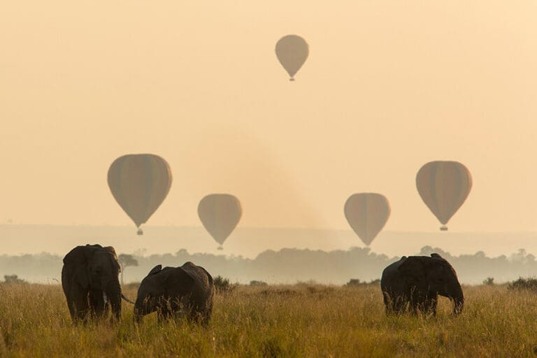 AngamaMara Activity BalloonSafari