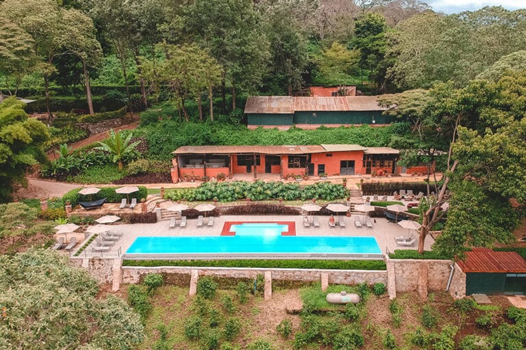 Gibbs Farm pool