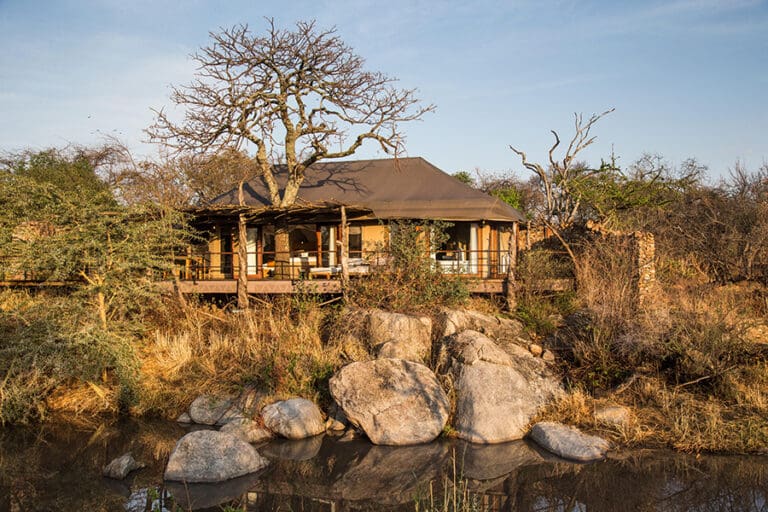 Mwiba Lodge 1