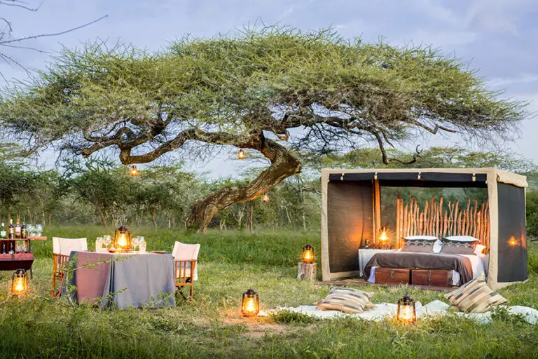 Mwiba Lodge legendary expeditions mwiba lodge fly camping under an acacia tree