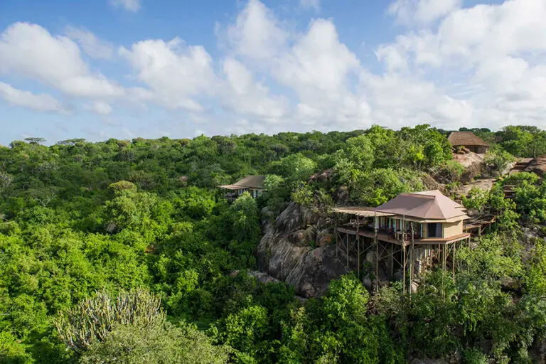 Mwiba Lodge legendary 237