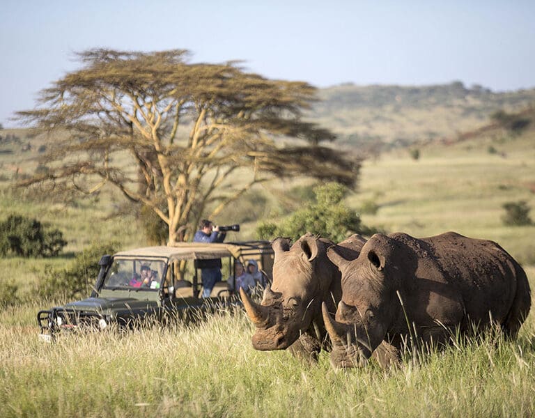 Discover one of the world s most renowned Rhino Sanctuaries sirikoi lodge