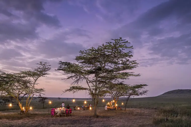 Dinner under the stars