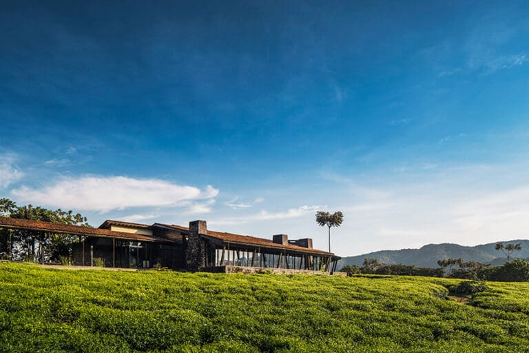Ultra-Luxury Rwanda Gorilla & Rainforest Experience · Safari Continents ...