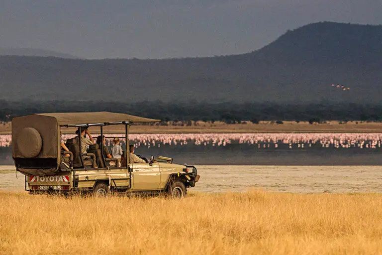 Chem Chem Lodge game drive 2
