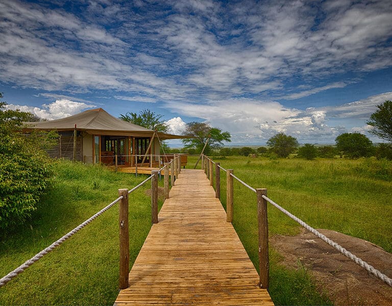 Sayari walkway to main area