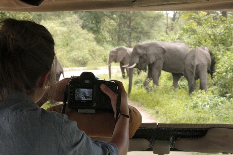 AndBeyond Lake Manyara Tree Lodge 2