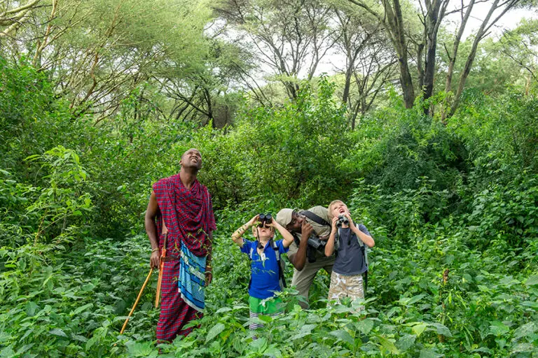 Lake Manyara Tree Lodge bush walks
