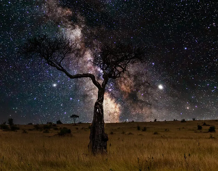 AndBeyond Grumeti Serengeti Tented Camp stargazing