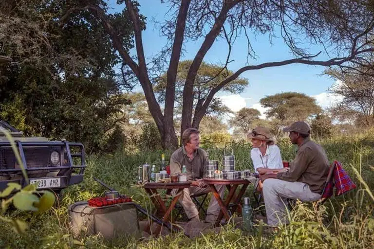 Picnics and day trips to Tarangire National Park