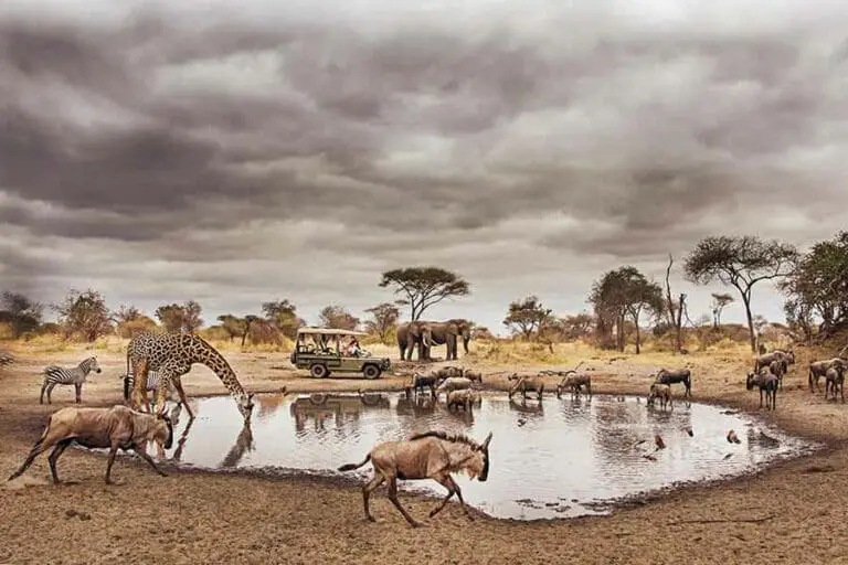 Safari like nowhere else in Africa