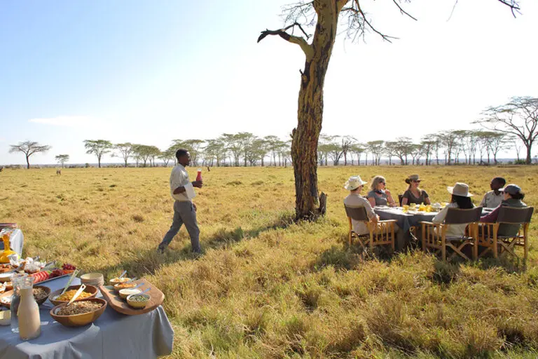 Wetu namiri plains fever tree forest breakfast