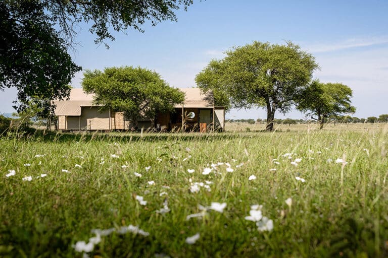 Singita Sabora Tented Camp Suite