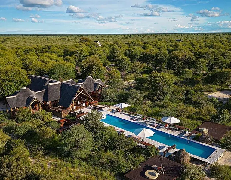 The thatched lodge and pool at Feline Fields Lodge