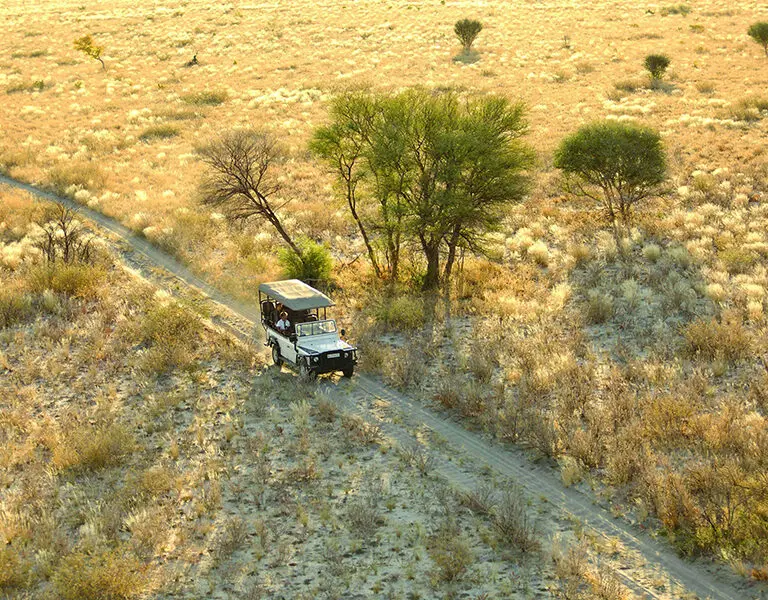 An open vehicle on a sandy track in the Kalahari