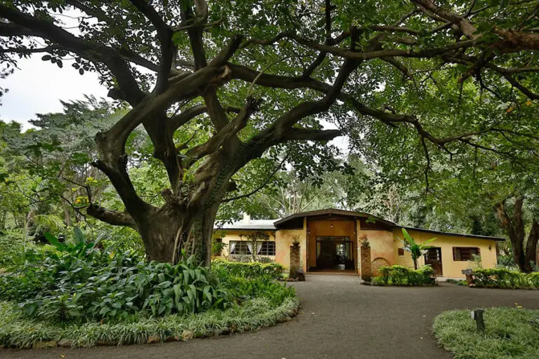 Rivertrees Country Inn 02