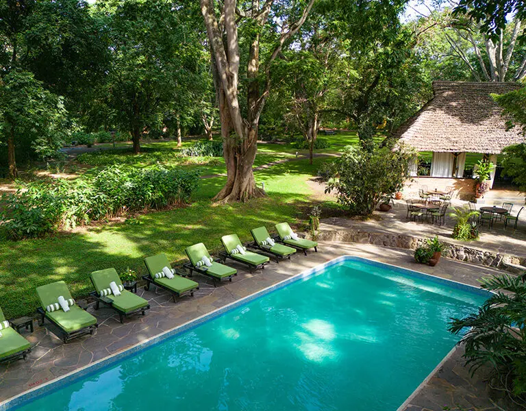 Rivertrees Country Inn Pool Drone