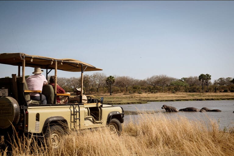 Chada Katavi game drive