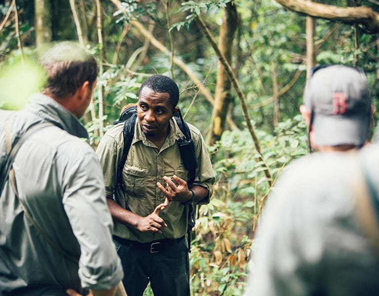 Greystoke Mahale Fantastic chimp guides