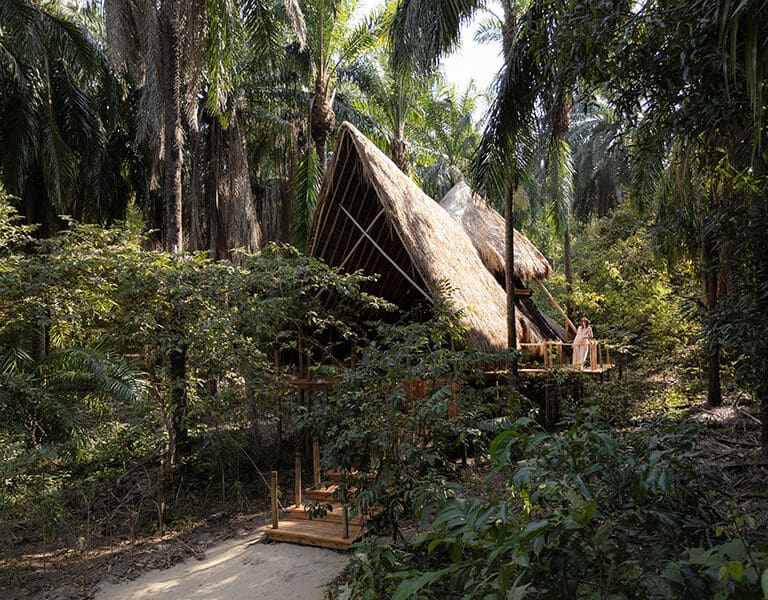 Greystoke Mahale A frame life in the canopy