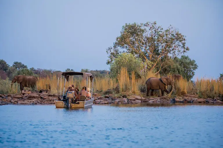 Sindabezi Island Lodge Boat Cruise