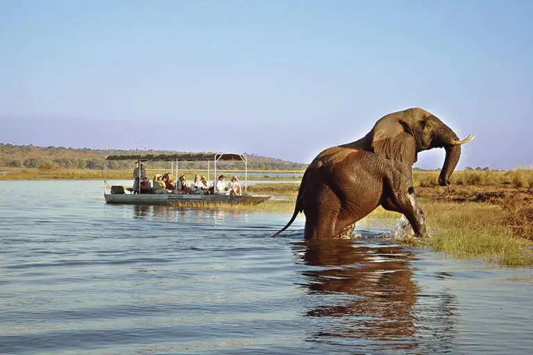 Chobe