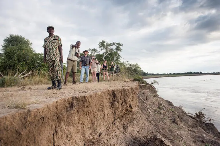 Walking Safari 1