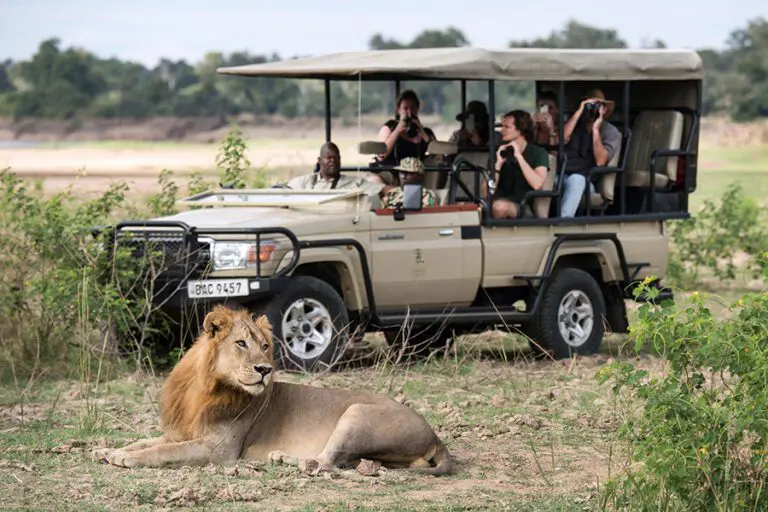 Shawa Luangwa Game Drives