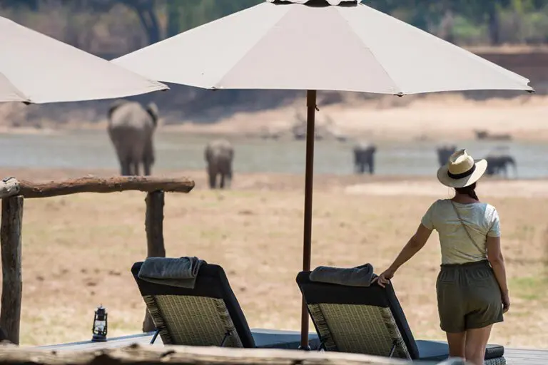 Shawa Luangwa Pool Views