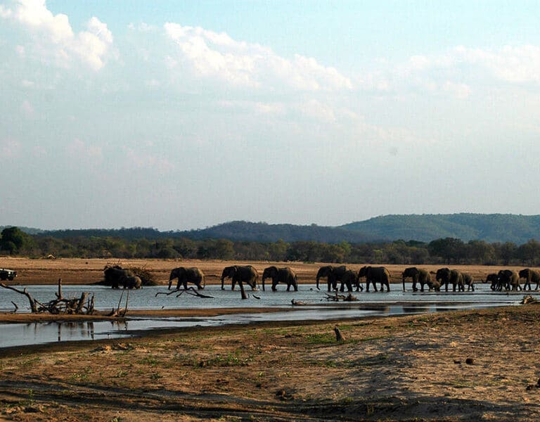 Three Rivers Camp South Luangwa Zambia game drive 5