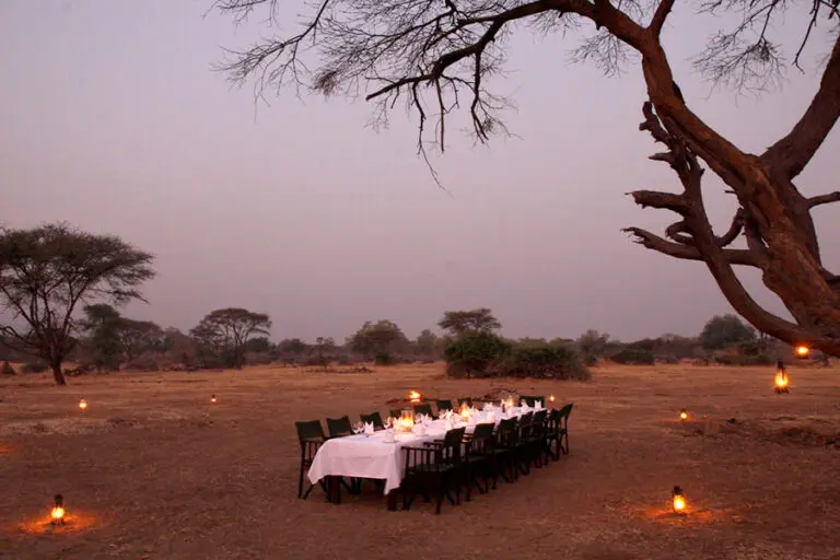BainesRiverCamp Dining BushDinner