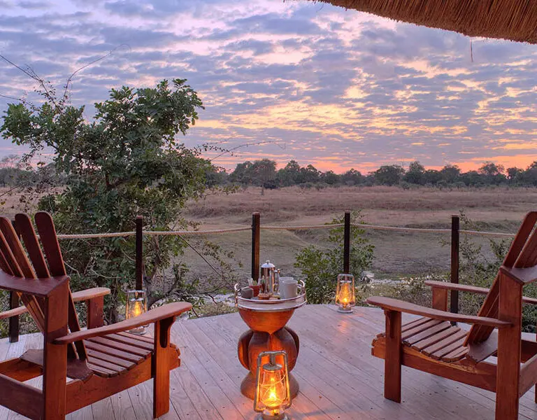 Lion Camp 1