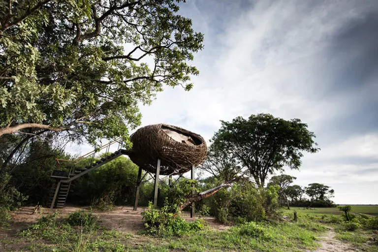 Chisa Busanga Camp Zambia nest exterior