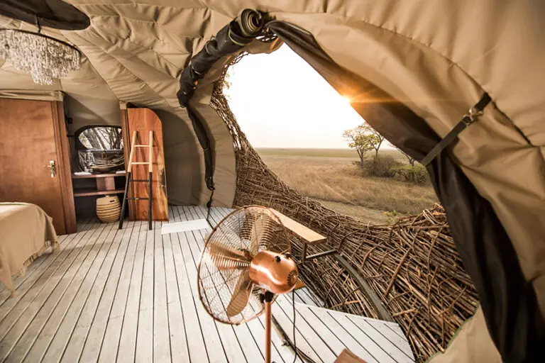 Chisa busanga camp nest interior