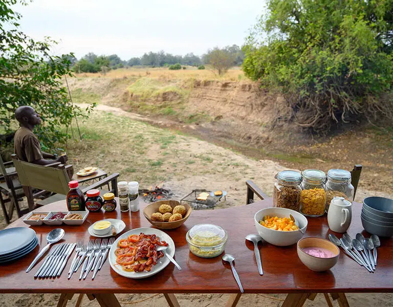 Chikoko Tree Camp 2