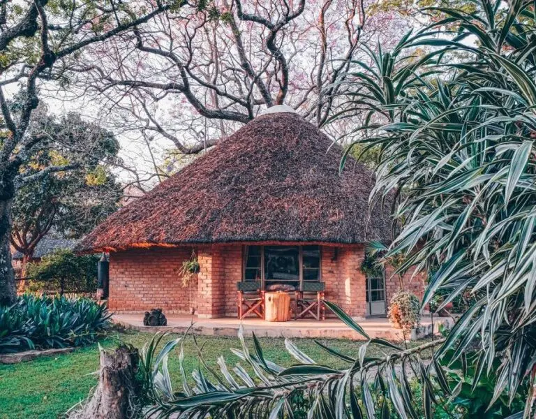 A thatched rondavel at Imire Lodge