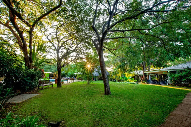 Bayete Garden